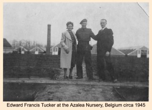 Azalea Nursery circa1945