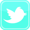 twitter-bird-icon