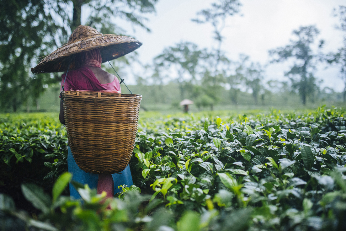 INDIA_TOUR_DSC_0463LowRes