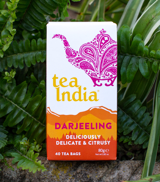 Tea India Darjeeling