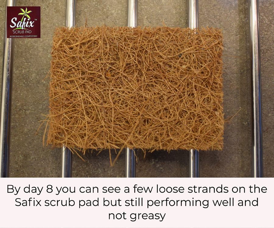 Day 8 Safix Scrub Pad