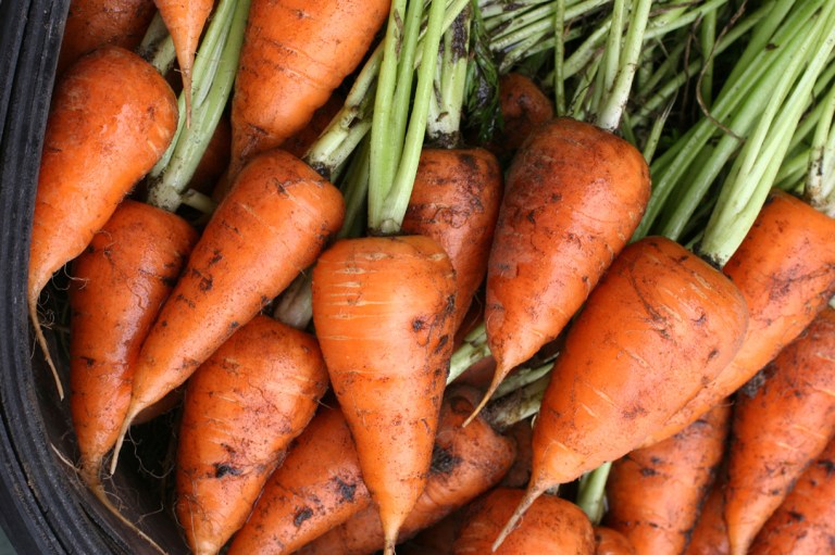 Growing photography 12